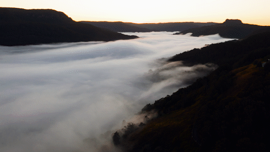 Fog Burst