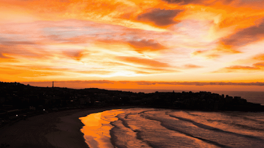 Bondi Burner