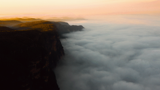 Fog Frenzy